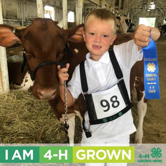 Meet your Posher, Valerie - Picture 1 of 1